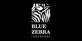 Blue Zebra - Silver Wolf Projects